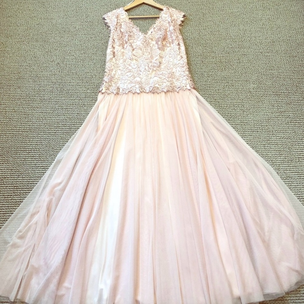 Tadashi Shoji Intricate Pink Lace, Chiffon & Tulle Ballgown